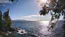 ./images/koeye/fitz-hugh/20260617/fitz-hugh20260617_175501M.jpg