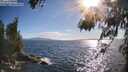 ./images/koeye/fitz-hugh/20260617/fitz-hugh20260617_182001M.jpg