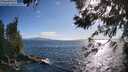./images/koeye/fitz-hugh/20260617/fitz-hugh20260617_183501M.jpg