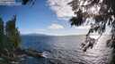 ./images/koeye/fitz-hugh/20260617/fitz-hugh20260617_190502M.jpg