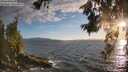./images/koeye/fitz-hugh/20260617/fitz-hugh20260617_202501M.jpg