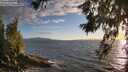./images/koeye/fitz-hugh/20260617/fitz-hugh20260617_203001M.jpg