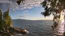 ./images/koeye/fitz-hugh/20260617/fitz-hugh20260617_203501M.jpg