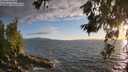 ./images/koeye/fitz-hugh/20260617/fitz-hugh20260617_204001M.jpg