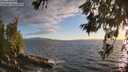 ./images/koeye/fitz-hugh/20260617/fitz-hugh20260617_204501M.jpg