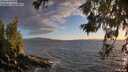 ./images/koeye/fitz-hugh/20260617/fitz-hugh20260617_205501M.jpg
