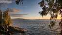 ./images/koeye/fitz-hugh/20260617/fitz-hugh20260617_212001M.jpg