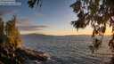 ./images/koeye/fitz-hugh/20260617/fitz-hugh20260617_212501M.jpg