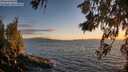 ./images/koeye/fitz-hugh/20260617/fitz-hugh20260617_213001M.jpg