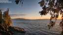 ./images/koeye/fitz-hugh/20260617/fitz-hugh20260617_213501M.jpg