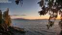 ./images/koeye/fitz-hugh/20260617/fitz-hugh20260617_214002M.jpg