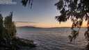 ./images/koeye/fitz-hugh/20260617/fitz-hugh20260617_214501M.jpg