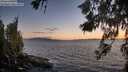 ./images/koeye/fitz-hugh/20260617/fitz-hugh20260617_215002M.jpg