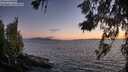 ./images/koeye/fitz-hugh/20260617/fitz-hugh20260617_220501M.jpg