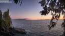 ./images/koeye/fitz-hugh/20260617/fitz-hugh20260617_221002M.jpg
