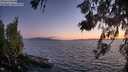 ./images/koeye/fitz-hugh/20260617/fitz-hugh20260617_221501M.jpg