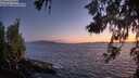 ./images/koeye/fitz-hugh/20260617/fitz-hugh20260617_222501M.jpg