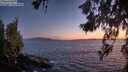 ./images/koeye/fitz-hugh/20260617/fitz-hugh20260617_223001M.jpg