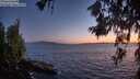 ./images/koeye/fitz-hugh/20260617/fitz-hugh20260617_223501M.jpg