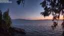 ./images/koeye/fitz-hugh/20260617/fitz-hugh20260617_224001M.jpg