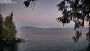 ./images/koeye/fitz-hugh/20260618/fitz-hugh20260618_045501M.jpg
