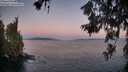 ./images/koeye/fitz-hugh/20260618/fitz-hugh20260618_050501M.jpg