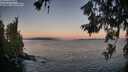 ./images/koeye/fitz-hugh/20260618/fitz-hugh20260618_052001M.jpg