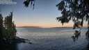 ./images/koeye/fitz-hugh/20260618/fitz-hugh20260618_054001M.jpg