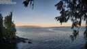 ./images/koeye/fitz-hugh/20260618/fitz-hugh20260618_055501M.jpg
