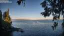 ./images/koeye/fitz-hugh/20260618/fitz-hugh20260618_061001M.jpg