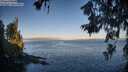 ./images/koeye/fitz-hugh/20260618/fitz-hugh20260618_062001M.jpg