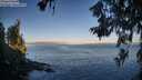 ./images/koeye/fitz-hugh/20260618/fitz-hugh20260618_062502M.jpg