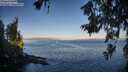 ./images/koeye/fitz-hugh/20260618/fitz-hugh20260618_063001M.jpg