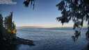./images/koeye/fitz-hugh/20260618/fitz-hugh20260618_064002M.jpg