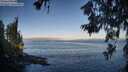 ./images/koeye/fitz-hugh/20260618/fitz-hugh20260618_064501M.jpg