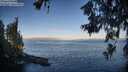 ./images/koeye/fitz-hugh/20260618/fitz-hugh20260618_065001M.jpg