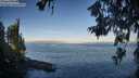 ./images/koeye/fitz-hugh/20260618/fitz-hugh20260618_065501M.jpg
