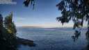 ./images/koeye/fitz-hugh/20260618/fitz-hugh20260618_070501M.jpg