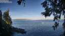 ./images/koeye/fitz-hugh/20260618/fitz-hugh20260618_071001M.jpg