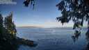 ./images/koeye/fitz-hugh/20260618/fitz-hugh20260618_071501M.jpg