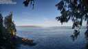 ./images/koeye/fitz-hugh/20260618/fitz-hugh20260618_072002M.jpg