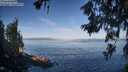 ./images/koeye/fitz-hugh/20260618/fitz-hugh20260618_073002M.jpg