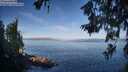 ./images/koeye/fitz-hugh/20260618/fitz-hugh20260618_073501M.jpg