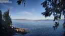 ./images/koeye/fitz-hugh/20260618/fitz-hugh20260618_074001M.jpg