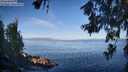 ./images/koeye/fitz-hugh/20260618/fitz-hugh20260618_074501M.jpg
