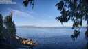 ./images/koeye/fitz-hugh/20260618/fitz-hugh20260618_075002M.jpg