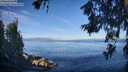 ./images/koeye/fitz-hugh/20260618/fitz-hugh20260618_075501M.jpg