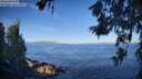 ./images/koeye/fitz-hugh/20260618/fitz-hugh20260618_080501M.jpg