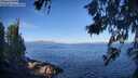 ./images/koeye/fitz-hugh/20260618/fitz-hugh20260618_081501M.jpg