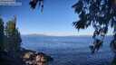 ./images/koeye/fitz-hugh/20260618/fitz-hugh20260618_082501M.jpg